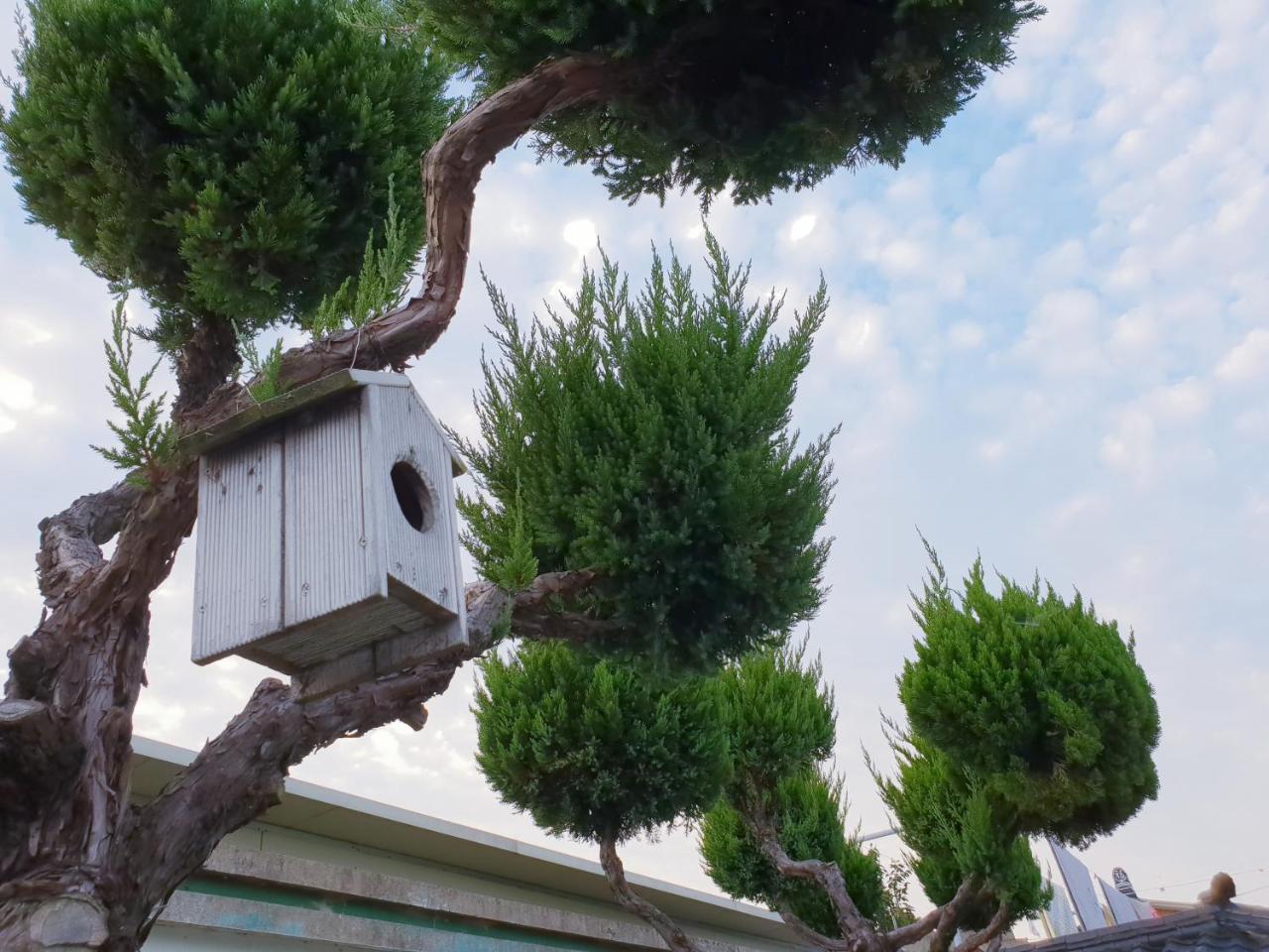 Hanok Raon Gyeongju Eksteriør bilde